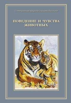 Галина Гальперина - Рекорды в мире животных