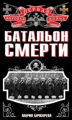 Кирилл Басин - Мятежный батальон