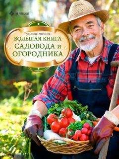 Павел Штейнберг - Обиходная рецептура садовода. Золотая книга садовода, проверенная временем