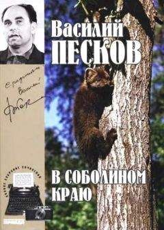Владимир Гиляровский - Все о Москве (сборник)