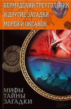 Виктор Губарев - 100 великих пиратов