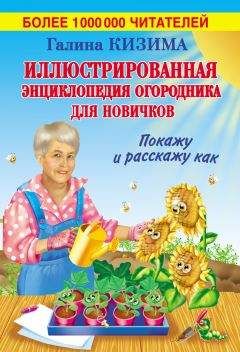 Галина Полякова - Чудо-урожай. Большая энциклопедия сада и огорода