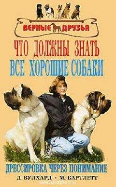 Сергей Жигалов - Бродячие собаки