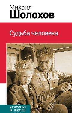 Сергей Соловьев - Чтения и рассказы по истории России