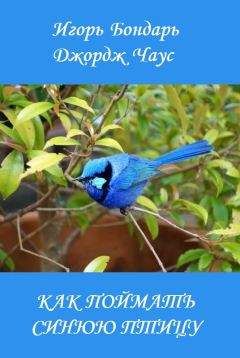 Игорь Чаус - Как поймать синюю птицу