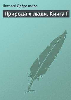 Николай Добролюбов - Путешествие на Амур