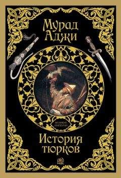 Владимир Малов - Тайны средневековых рыцарей