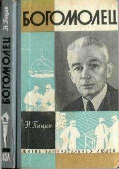 Юрий Петров - Партизанское движение в Ленинградской области (1941-1944)