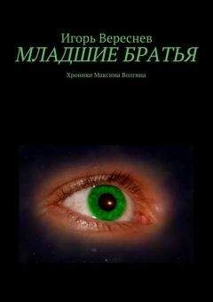 Вячеслав Бакулин - S.W.A.L.K.E.R. Звезды над Зоной (сборник)