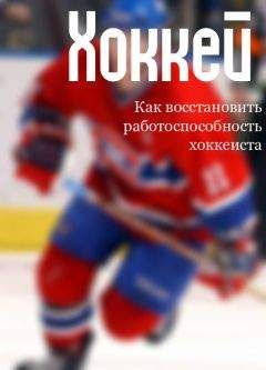 Игорь Рабинер - Хоккейное безумие. От Нагано до Ванкувера