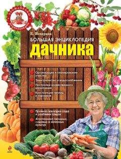 Галина Кизима - Энциклопедия большого урожая для разумных и ленивых