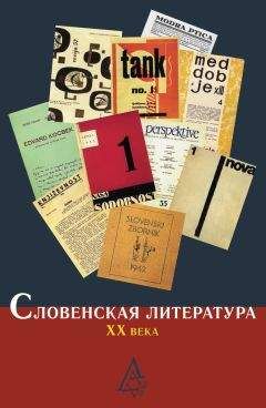 Алексей Жеребин - Абсолютная реальность: «Молодая Вена» и русская литература