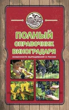 Юрий Бойчук - 500 советов виноградарю