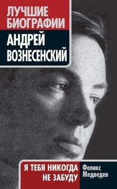 Андрей Вознесенский - На виртуальном ветру
