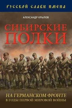 Сергей Голубов - Полководцы гражданской войны