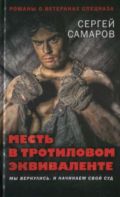 Михаил Зайцев - Улыбка Бультерьера. Книга третья