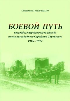 Алексей Болотников - Звон отдаленных лет. История Тесинской школы 1861—2016