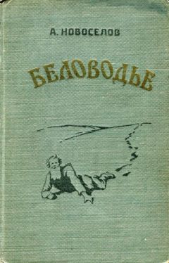 Александр Новосёлов - Беловодье