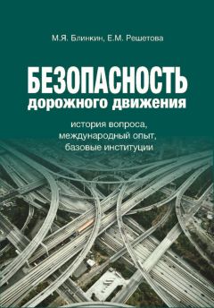 Евгений Ищенко - Смертельно опасная триада, или Всё о дорожной безопасности