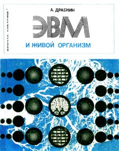 Павел Власов - Беседы о рентгеновских лучах (второе издание)