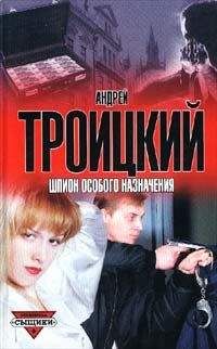 Андрей Троицкий - Знак шпиона