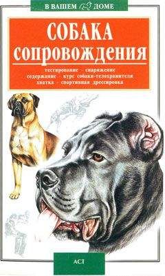 Дмитрий Фатин - Собаки специального назначения. Рассекреченные методики подготовки охранных собак