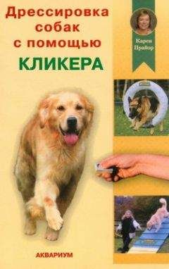 Томас Нотт - Домашний настольный справочник по дрессировке собак